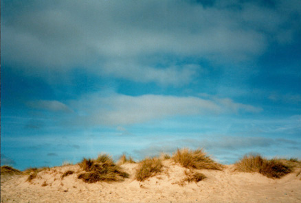 sand dune